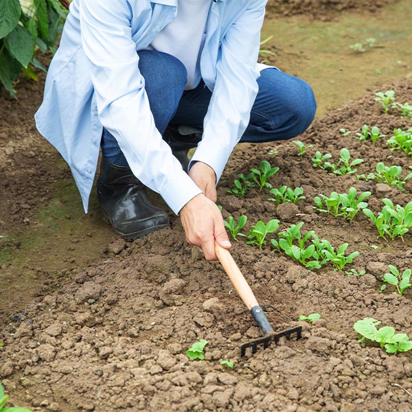 Agriculture